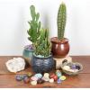imageCherry Tree Collection 12 Pound Polished Stones  12quot  1quot Size Tumbled Stones  Tumbled Crystals Bulk for Healing Reiki Chakra Red JasperTigers Eye