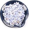 imageCherry Tree Collection 12 Pound Polished Tumbled Gemstone Chips Pebbles Crystal Chips Bulk for Jewelry Making Healing Plants Succulents Aquariums Decoration Chakra AquamarineBlue Lace Agate