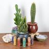 imageCherry Tree Collection Crystals and Healing Stones Chakra Set  Mini Glass Bottles with Gemstone Chips  7 Chakra Stones  Real Rocks and Crystals