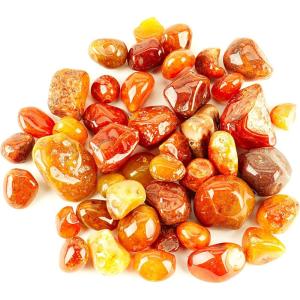 imageCherry Tree Collection 12 Pound Polished Stones  12quot  1quot Size Tumbled Stones  Tumbled Crystals Bulk for Healing Reiki Chakra Red JasperCarnelian