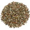 image:imageCherry Tree Collection 12 Pound Polished Tumbled Gemstone Chips Pebbles Crystal Chips Bulk for Jewelry Making Healing Plants Succulents Aquariums Decoration Chakra PeridotSRhyolite